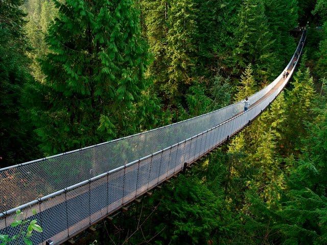 Capilano Suspension Bridge & Cliffwalk | Vancouver, BC