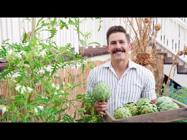 All About Artichokes with Kyle Hagerty from Urban Farmstead!