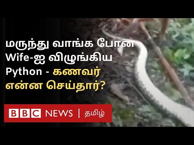 மலைப்பாம்பு வயிற்றை கிழித்து... Wife உடலை மீட்க Husband செய்தது என்ன?