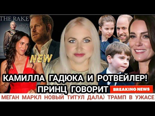 Гарри! У Меган Маркл НОВЫЙ ТИТУЛ_КАМИЛЛА РОТВЕЙЛЕР И ГАДЮКА_ПРИНЦЫ ПОСТРАДАЛИ_КЕЙТ и Луи Запасной