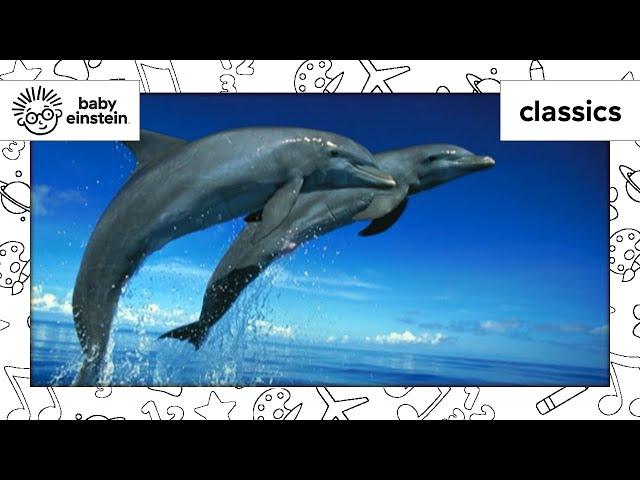 World Animal Adventure, Part 2 | Animal Videos for Kids | Baby Einstein