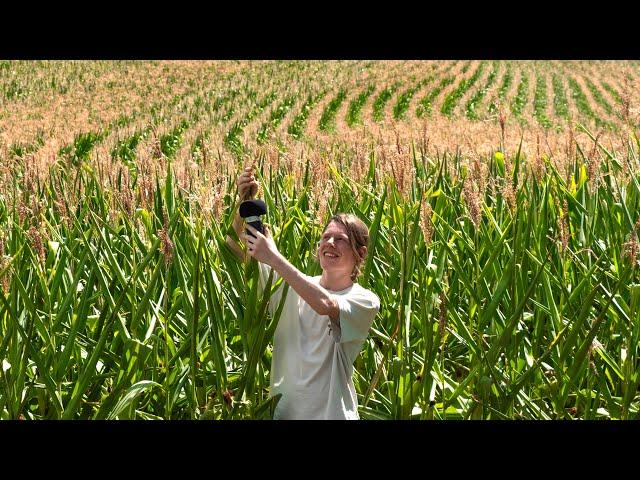 ASMR on the Countryside (different locations)