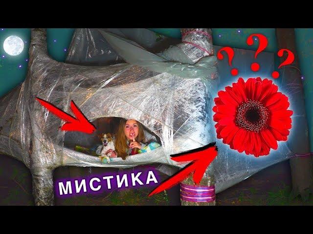 НОЧЬ в доме из Пленки ЦВЕТОК В БАССЕЙНЕ на дереве МИСТИКА | Elli Di