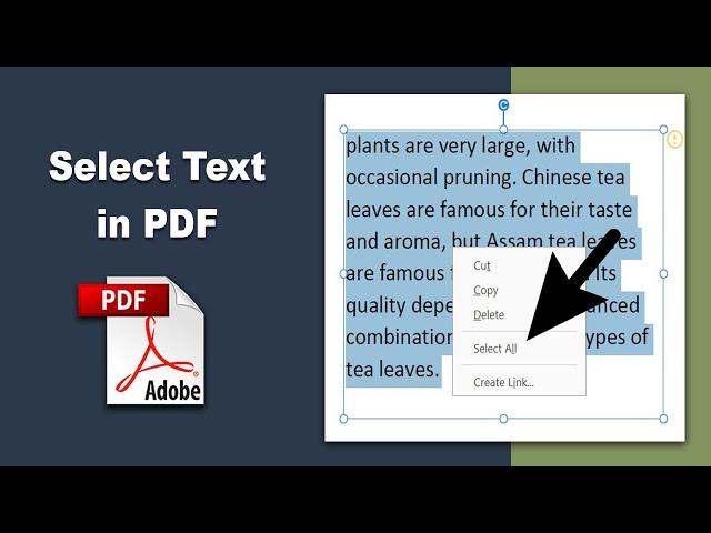 How to select text in pdf using Adobe Acrobat Pro DC