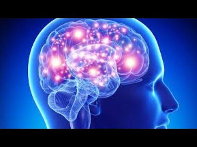 Todo sobre el cerebro humano | Documental en Español