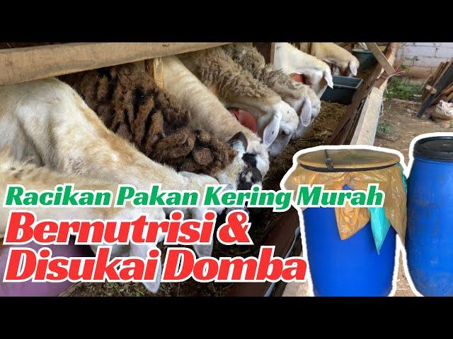 RACIKAN PAKAN KERING MURAH BERNUTRISI SANGAT DISUKAI DOMBA