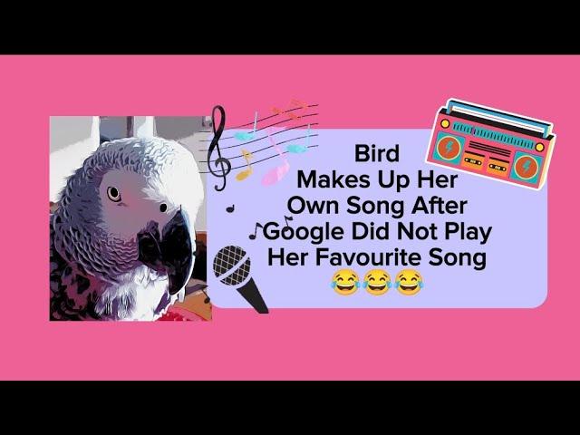 Bird Makes Up Her Own Song After Google Didn't Play Her Favorite Song  #animals #pets #birds #funny