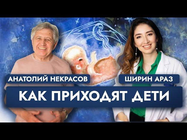 Дети, деньги и беременность! Анатолий Некрасов и Ширин Араз.