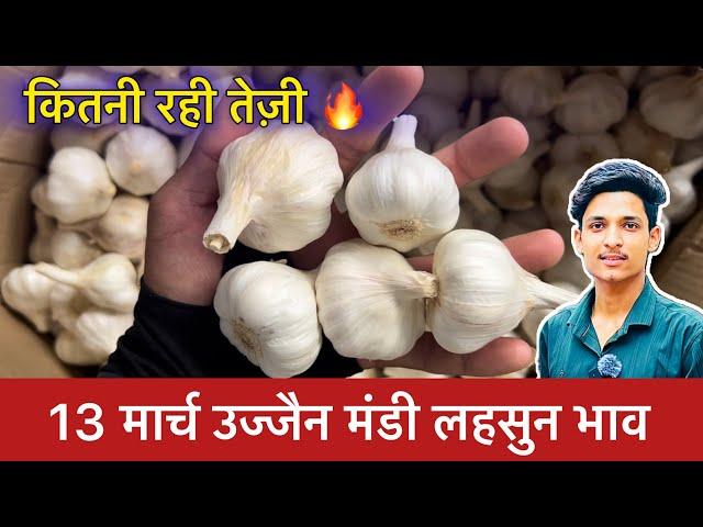 Ujjain Mandi Lahsun Ka Bhav | Garlic Price Today | Ujjain Mandi Bhav Lahsun | 13 March 2024