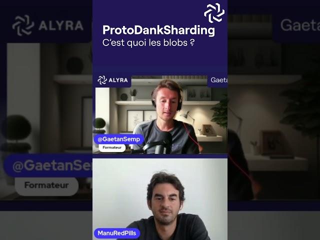 ProtoDankSharding : C'est quoi les Blobs ?