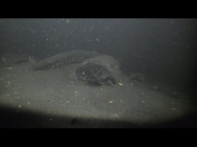 The bottom of this lake is so deep it’s dark! (GoPro and LED Light)