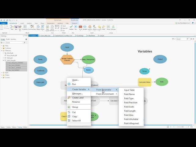 ArcGIS Pro: Enhancing Workflows with Variables in ModelBuilder