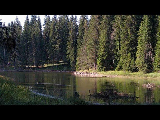 къмпинг и риболов на язовир широка поляна,  fishing on the most beautiful dam in Bulgaria