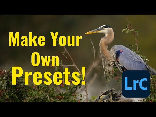 Make Your Own Presets in Lightroom Classic!