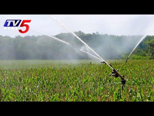 అధునాతన సాంకేతికతతో అధిక లాభాలు | New Technology in Agriculture | Annapurna | TV5 News