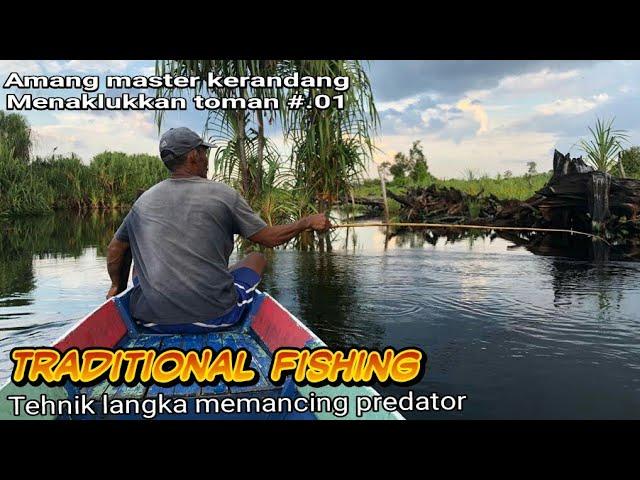 Traditional fishing. ( menjiwa ) Amang master kerandang Menaklukkan toman.... #01