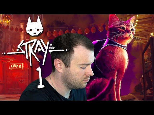  STRAY  #1: Spannendes Katzenabenteuer in einer Cyberpunk Welt