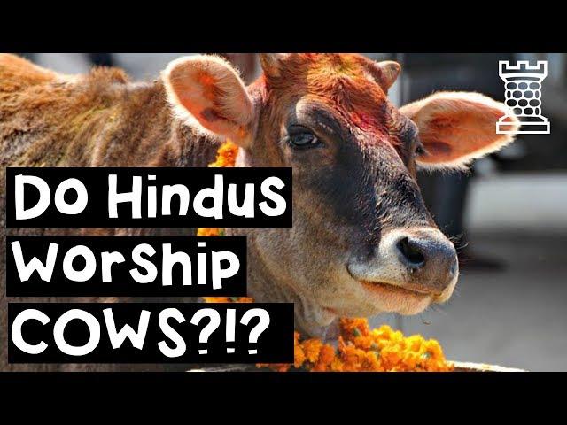 Do Hindus Worship Cows? - Hindu Beef Taboo Explained