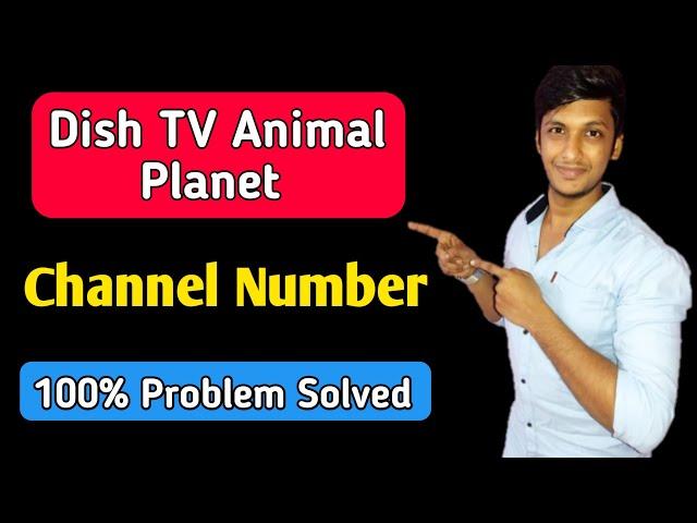 dish tv animal planet channel number