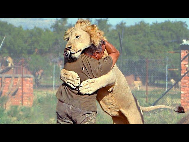 Animals Reunited With Owners After Years !