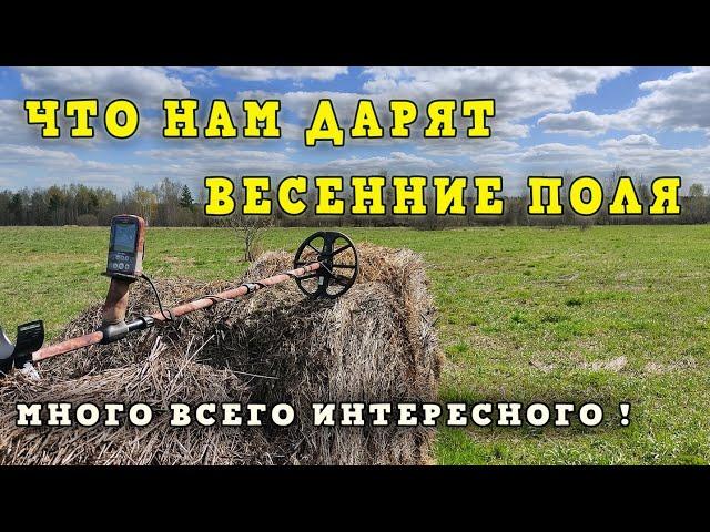 Что нам дарят весенние поля. Много всего интересного!