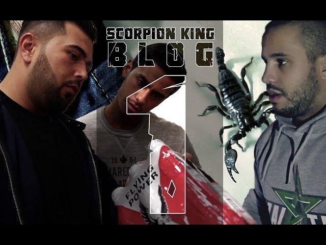 Summer Cem - SCORPION KING Blog 1 [ HAK ]