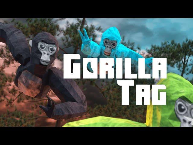 Gorilla Tag Store Launch | Meta Quest