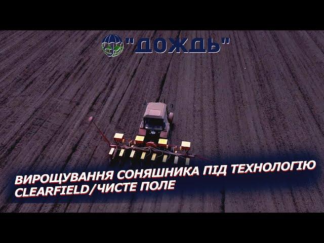 Вирощування соняшника під технологію Clearfield/чисте поле