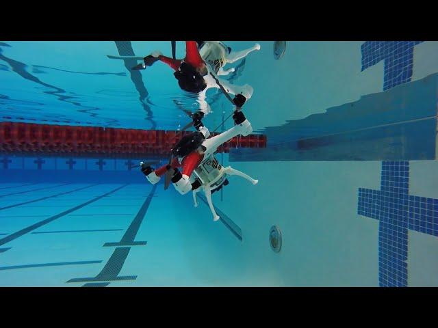 Check Out The Loon Copter: A Flying Drone That Swims Underwater!