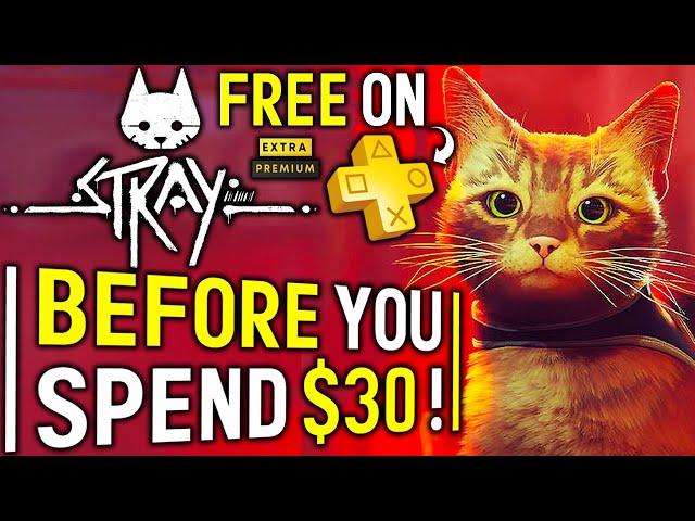 STRAY Things to Know Before You SPEND $30 - FREE on PS Plus Extra/Premium! (New CAT Adventure Game)