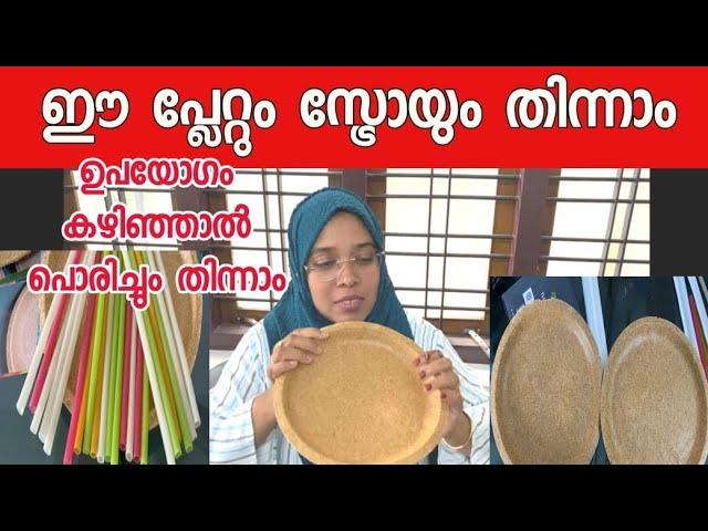 ഭക്ഷണശേഷം കടിച്ച് തിന്നാൻ പറ്റുന്ന പ്ലേറ്റും സ്ട്രോയും||Thooshan||Biodegradable plate Manufacturing