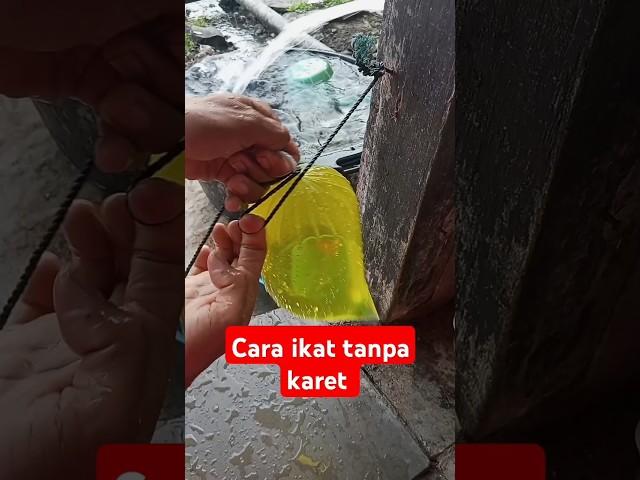 cara mengikat es batu tanpa karet #trending #viral#fyp