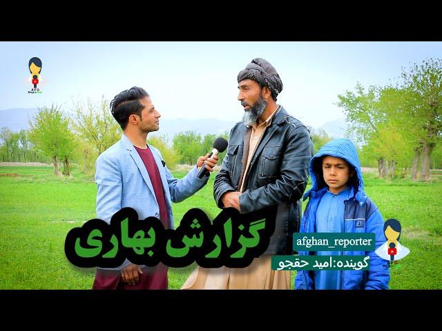 پل هاشمی هرات در فصل بهار