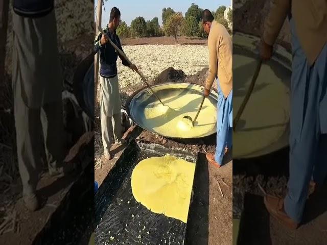 Punjab Pakistan Village Life | Jaggery Making | Old Punjab | Stunning Punjab | Rural Life Pakistan