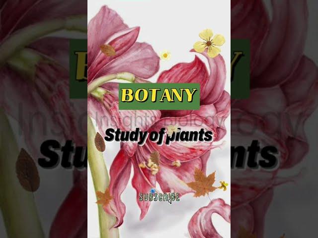 Botany - Biology Vocabulary | Insights Biology