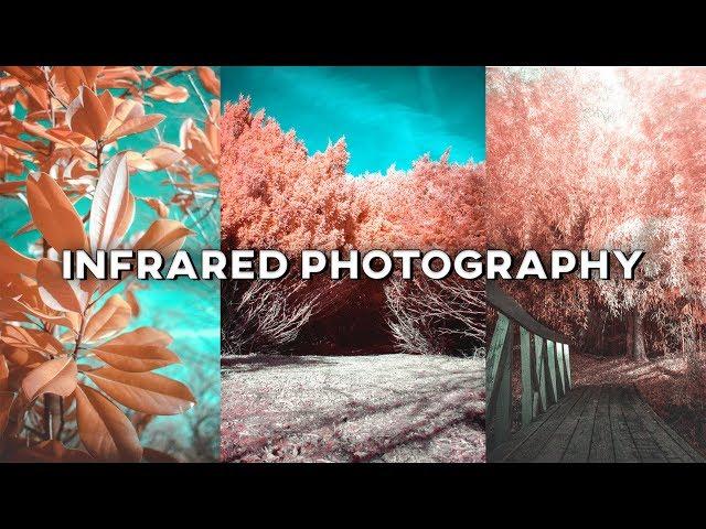 Infrared Photography with an IR Lens Filter