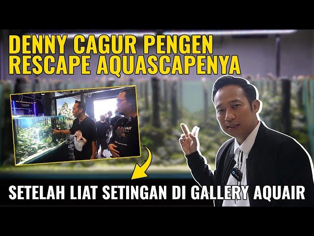 [AQUAIRPLAY] RESCAPE AQUASCAPE DENNY CAGUR. 7 WATERFALL AQUASCAPE