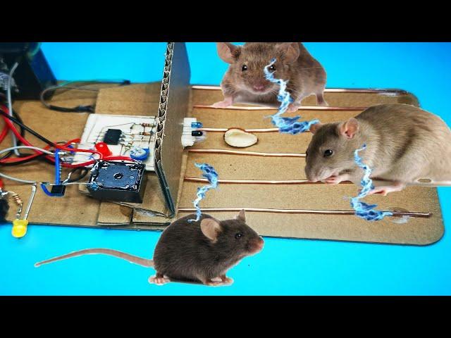 Electric Mouse Trap / Best Electric Mouse / Rat Trap #Mause#RatTrap#mousetrap