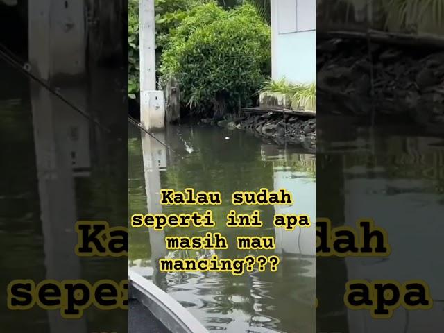 buaya muncul saat mancing #viral #shorts #tiktok