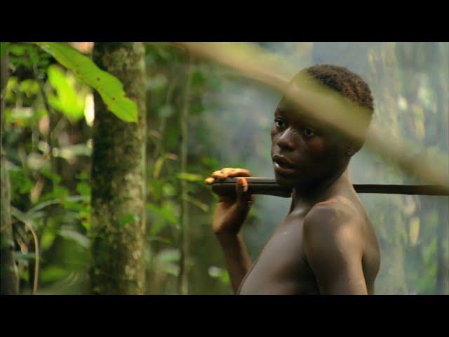 Congo: the Untamed Heart | Wildest Africa | 4K |