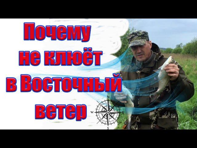 Почему не клюет в Восточный. ветер При каком ветре ловить рыбу Влияние ветра на клев рыбы