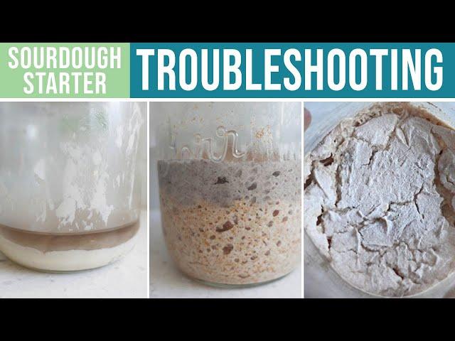 SOURDOUGH STARTER TROUBLESHOOTING - What's Wrong & How To Fix It