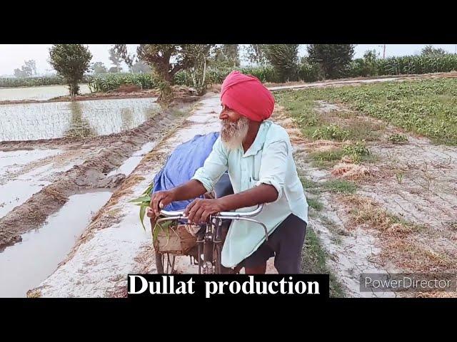 ਲਿਹਾਜ  ਲਿਹਾਜ ਚ ਕਰਤਾ ਕੰਗਾ ||by Dullat production                  #dullatproduction