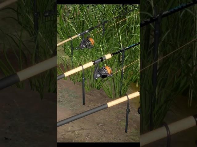 Fishing for crucian in the lake. Feeder fishingRF4 short #shorts #fishing #gaming