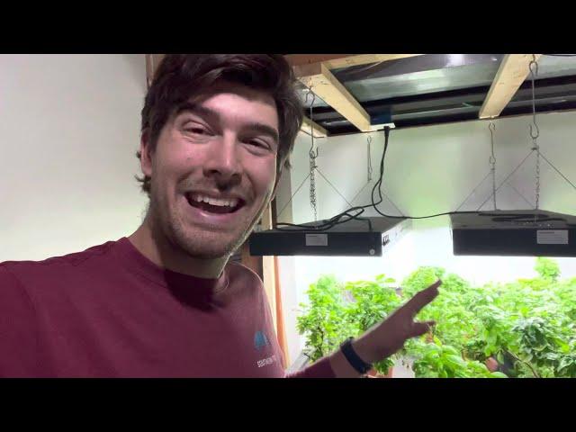 Super Simple Indoor Garden Setup Walkthrough Anyone Can Do!