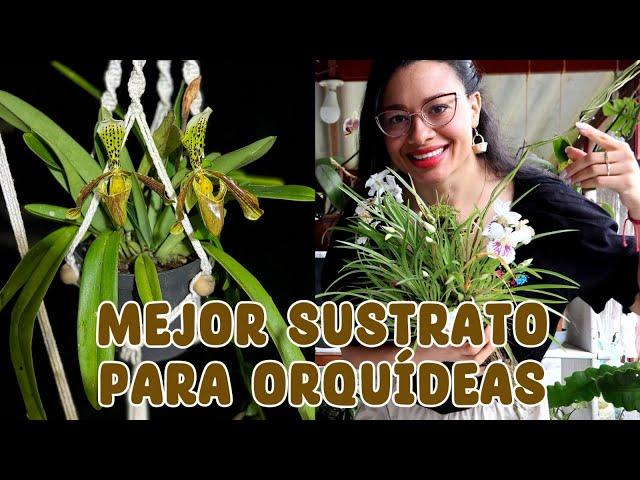 932 Best substrate for orchids