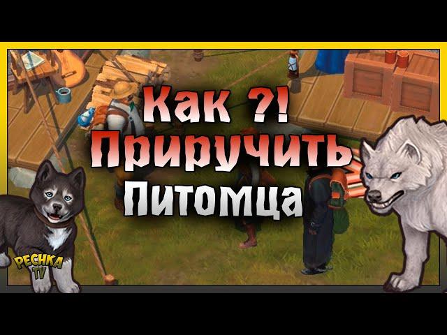 КАК ПРИРУЧИТЬ ПЕРВОГО ПИТОМЦА! СТРОИМ ВОЛЬЕР И СТОЛ ДЛЯ ПРИМАНОК! Westland Survival