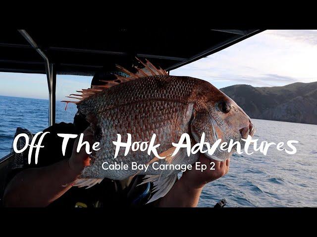 Cable Bay Carnage // Off the Hook Adventures