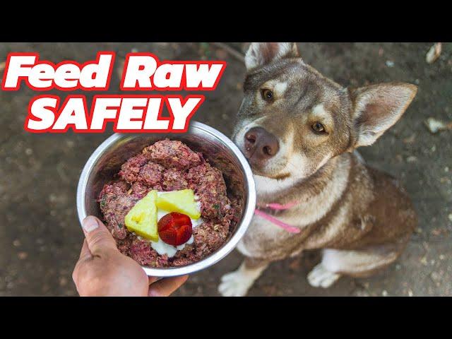 How to Feed Raw Dog Food SAFELY!