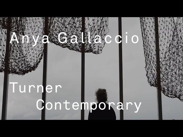 'Anya Gallaccio: preserve' Exhibition Trailer | Turner Contemporary